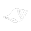 Conch