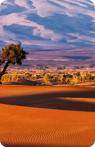 Nabagunjara Greens – Nature
