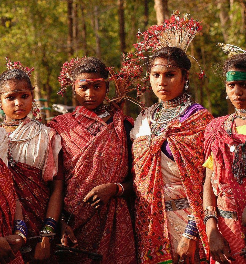Temples, Tribes and Tigers of Eastern India